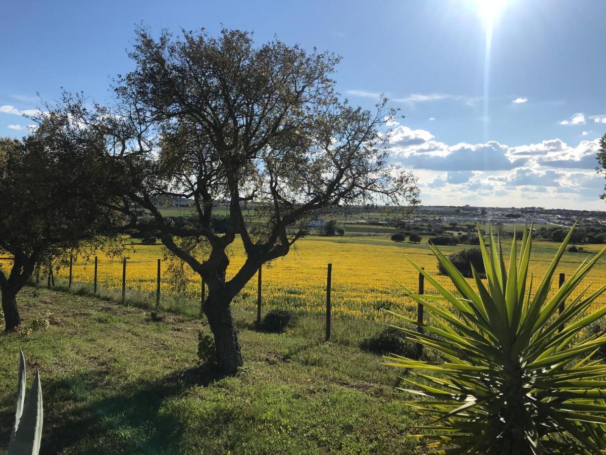 Quinta Da Colina Villa Evora Luaran gambar